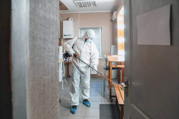 Why You Should Choose Our Mold Remediation Services in Holtsville, NY